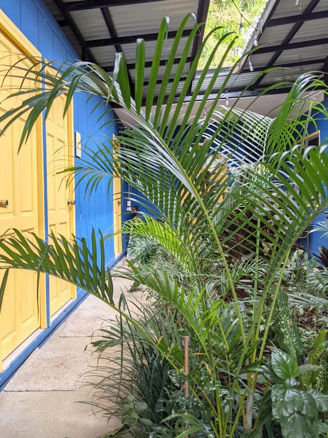 Guesthouse Congo Tempisque Liberia Luaran gambar